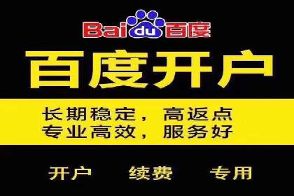 百度推广在电商行业的应用案例分析